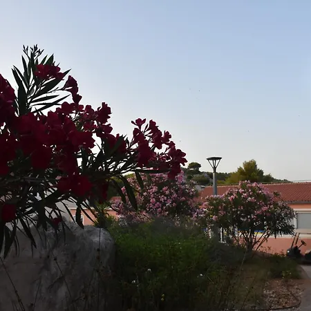 Oremore - Premium Mobile - Oaza Mira Camping, * Drage