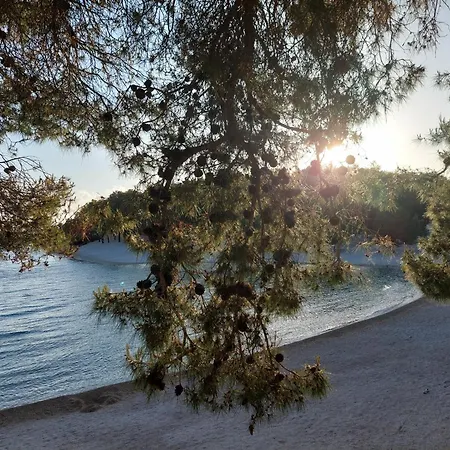 Oremore - Premium Mobile - Oaza Mira Camping, Drage